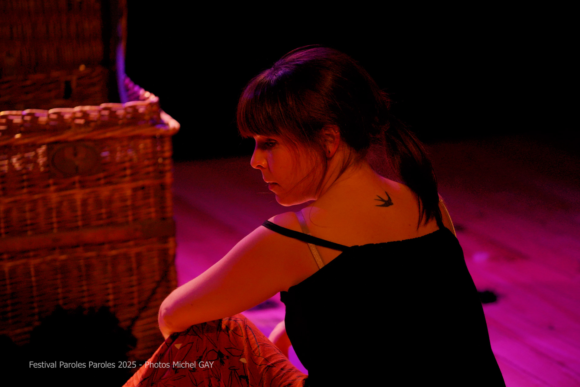 La fable de l'autruche (4)